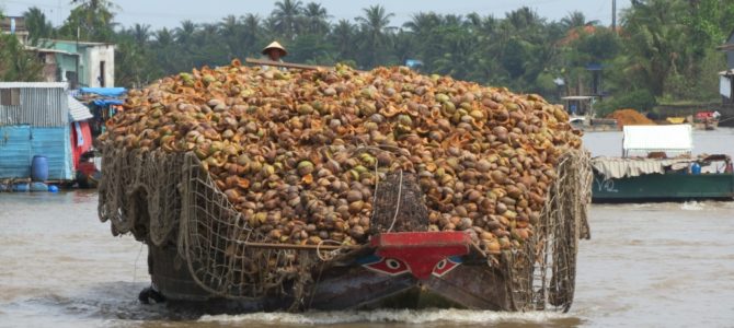 Sud du Vietnam : Cocotiers et rizières