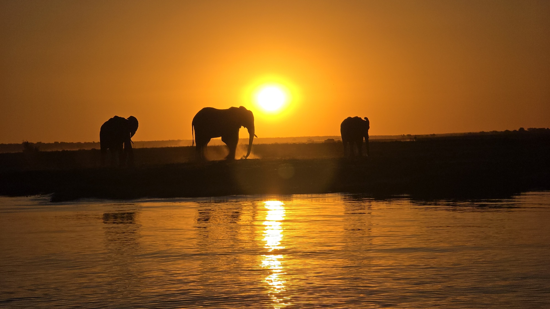 La magie de Chobe